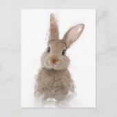 Rabbit Portrait 40 Briefkaart (Voorkant)