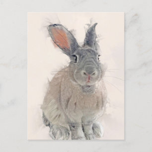 Rabbit Portret No.33 Briefkaart