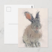Rabbit Portret No.33 Briefkaart (Voorkant / Achterkant)