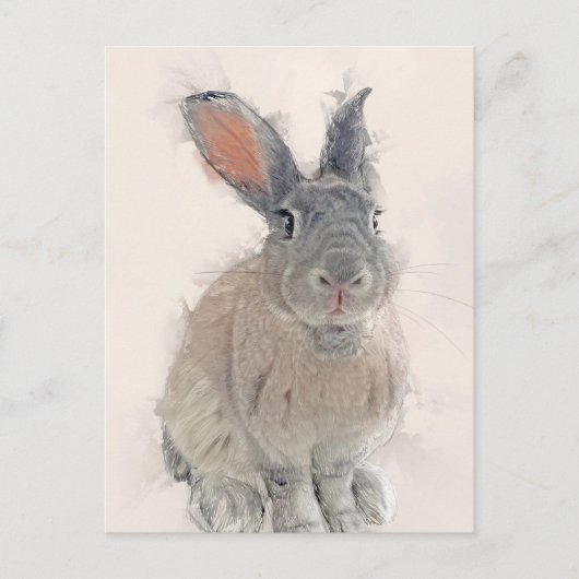 Rabbit Portret No.33 Briefkaart (Voorkant)