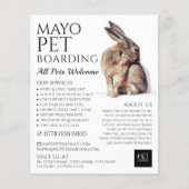 Rabbit Portret, Pet Boarding Adverteren Flyer (Voorkant)