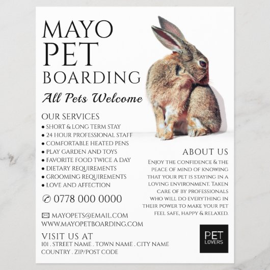 Rabbit Portret, Pet Boarding Adverteren Flyer (Voorkant)
