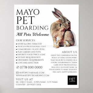 Rabbit Portret, Pet Boarding Adverteren Poster