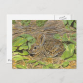Rabbit-postkaart Briefkaart (Voorkant / Achterkant)