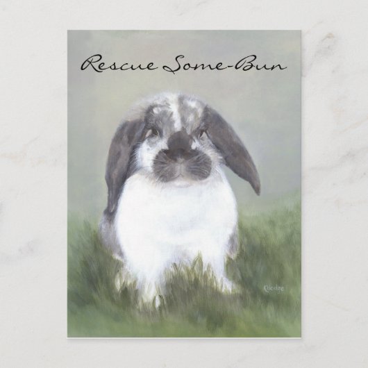 Rabbit Rescue Briefkaart (Voorkant)