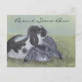 Rabbit Rescue Card Briefkaart (Voorkant)