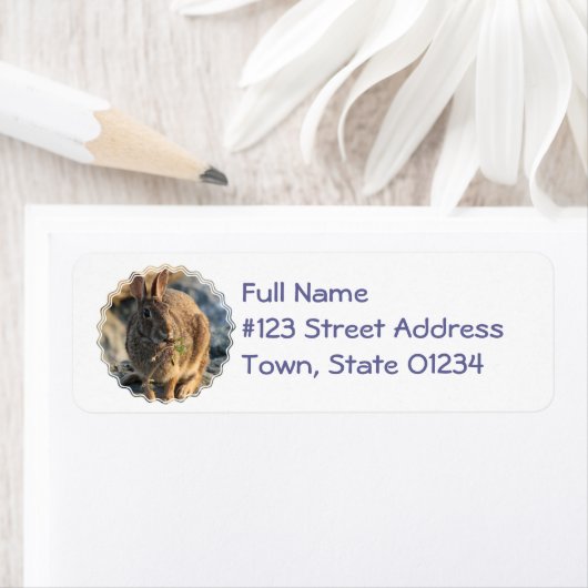 Rabbit Return Address Label (Insitu)