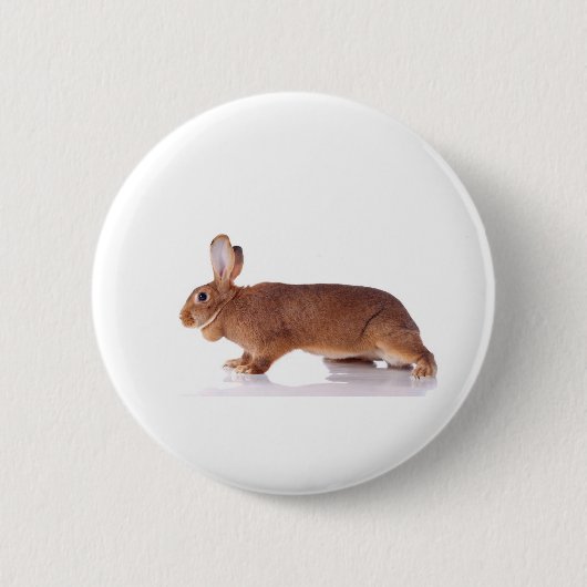 rabbit ronde button 5,7 cm (Voorkant)