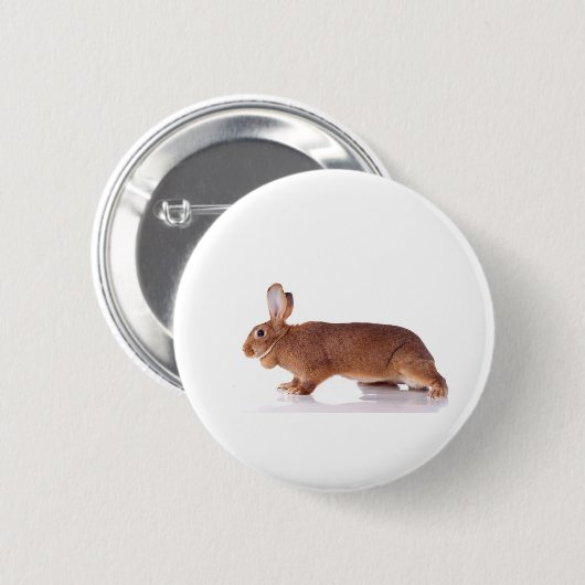 rabbit ronde button 5,7 cm (Voorkant /achterkant)