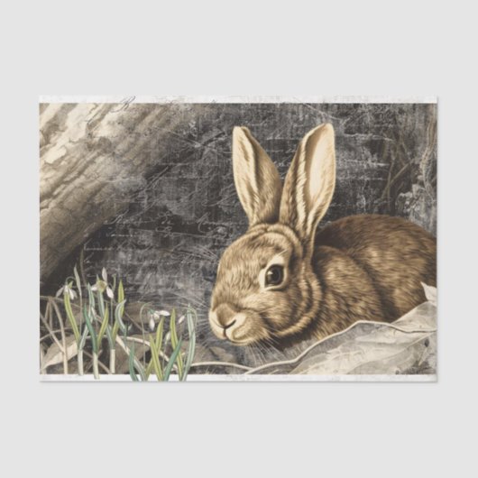 Rabbit Snowdrop Flowers Spring French Script Craft Tissuepapier (Voorkant)