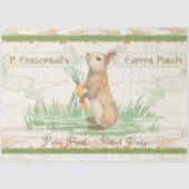 Rabbit Spring Carrot Patch Cottage Decoupage Tissuepapier (Voorkant)