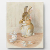 Rabbit Tea Party - Beatrix Potter Fotoplaat (Voorkant)