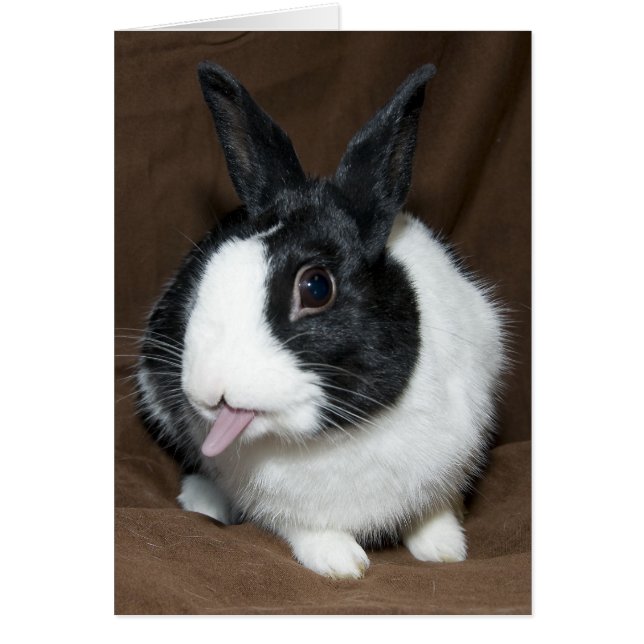 Rabbit Tongue (Voorkant)