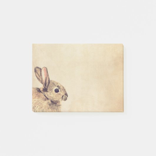 Rabbit Waterverf Sketch Post-it® notes (Voorkant)