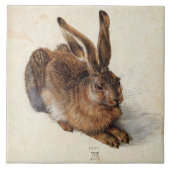RABBIT (Young Hare) van Albrecht Durer Tegeltje (Voorkant)