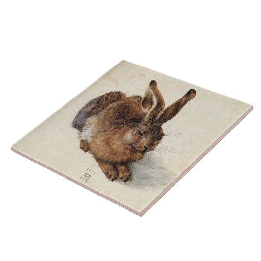RABBIT (Young Hare) van Albrecht Durer Tegeltje (Zijkant)