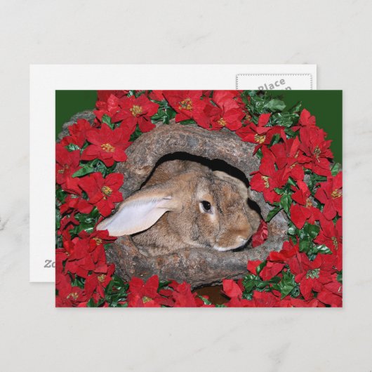 Rabbit yule log briefkaart (Voorkant / Achterkant)