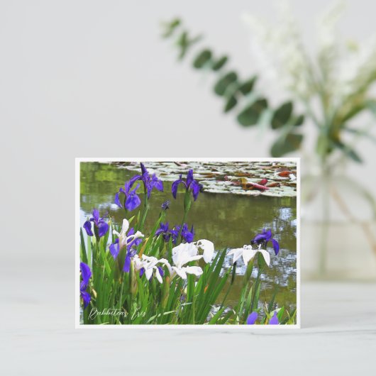 Rabbitear Iris Briefkaart (Staand voorkant)