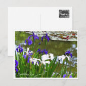 Rabbitear Iris Briefkaart (Voorkant / Achterkant)