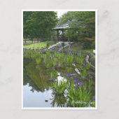 Rabbitear Iris Briefkaart (Voorkant)