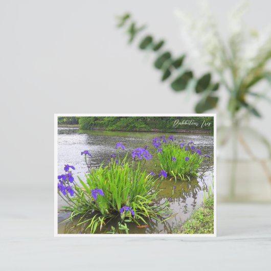 Rabbitear Iris Briefkaart (Staand voorkant)