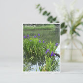 Rabbitear Iris Briefkaart (Staand voorkant)