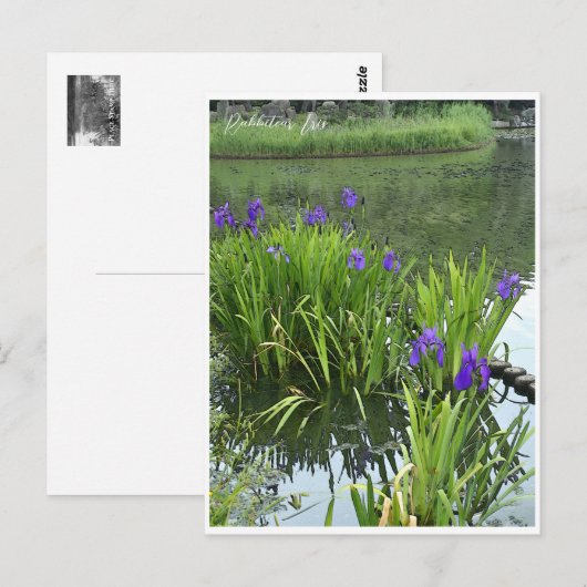 Rabbitear Iris Briefkaart (Voorkant / Achterkant)