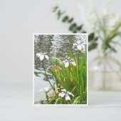 Rabbitear Iris Briefkaart (Staand voorkant)