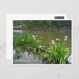 Rabbitear Iris Briefkaart