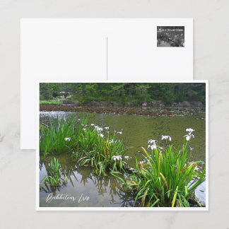 Rabbitear Iris Briefkaart