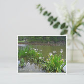 Rabbitear Iris Briefkaart (Staand voorkant)