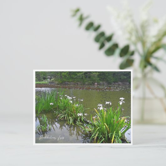 Rabbitear Iris Briefkaart (Staand voorkant)