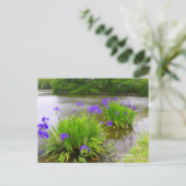 Rabbitear Iris:Briefkaart Briefkaart (Staand voorkant)