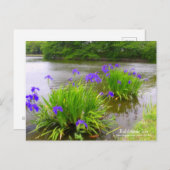 Rabbitear Iris:Briefkaart Briefkaart (Voorkant / Achterkant)