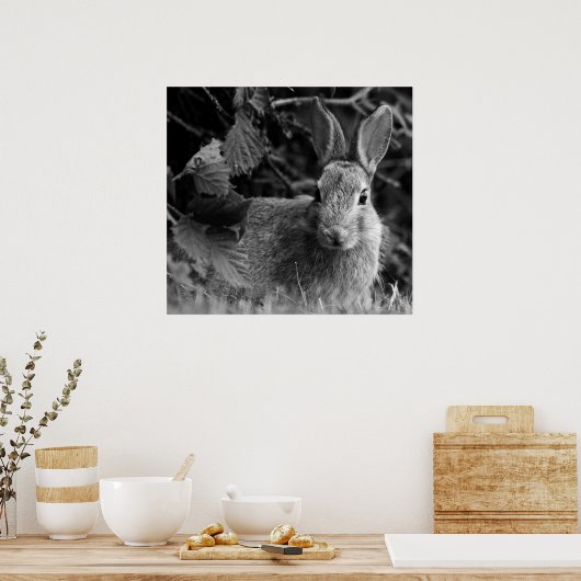RabbitMono Poster (Keuken)
