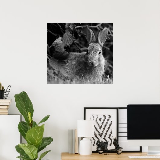 RabbitMono Poster (Thuiskantoor)