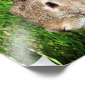 RABBITS FOTO AFDRUK (Hoek)