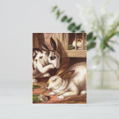 Rabbits  Illustratie Briefkaart (Staand voorkant)