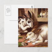 Rabbits  Illustratie Briefkaart (Voorkant / Achterkant)