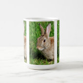 RABBITS KOFFIEMOK (Center)