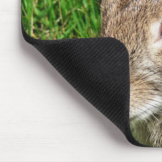 RABBITS MUISMAT (Hoek)