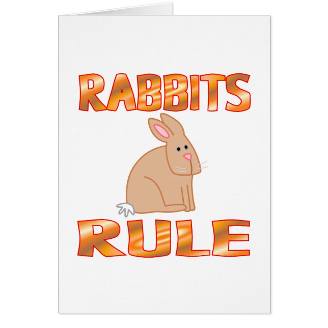 RABBITS RULE (Voorkant)