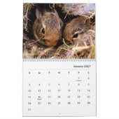 Rabbits Wall Agenda Kalender (Jan 2027)