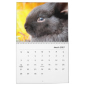Rabbits Wall Agenda Kalender (Mar 2027)