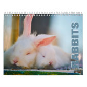 Rabbits Wall Agenda Kalender (Hoes)