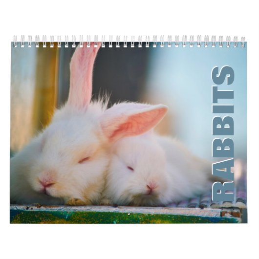 Rabbits Wall Agenda Kalender (Hoes)
