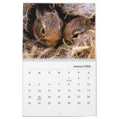 Rabbits Wall Agenda Kalender (Jan 2026)