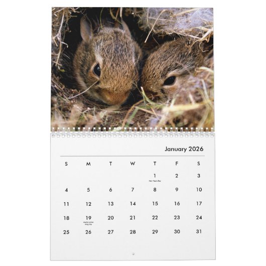 Rabbits Wall Agenda Kalender (Jan 2026)
