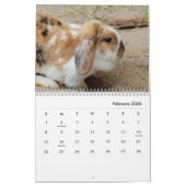 Rabbits Wall Agenda Kalender (Feb 2026)