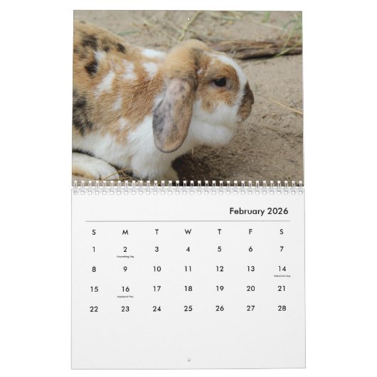 Rabbits Wall Agenda Kalender (Feb 2026)